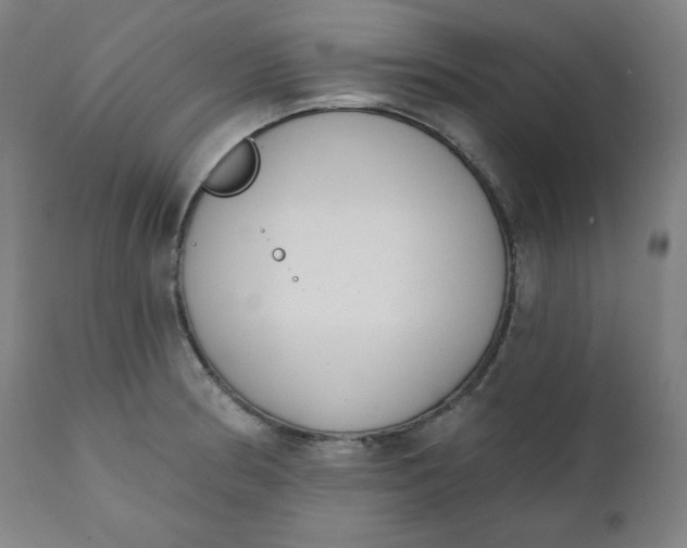 X0000111221186200907161244