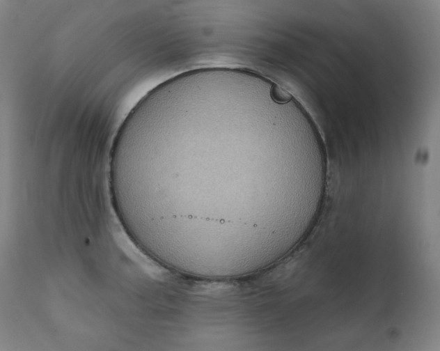 X0000111221187200907161244