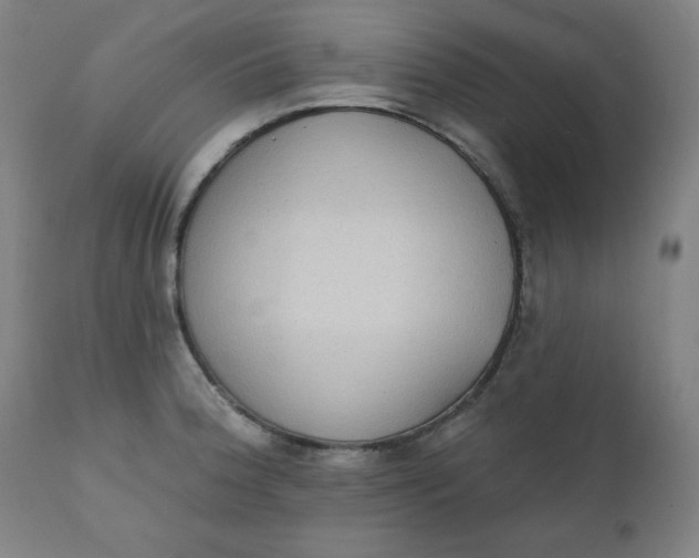 X0000111221188200907161244