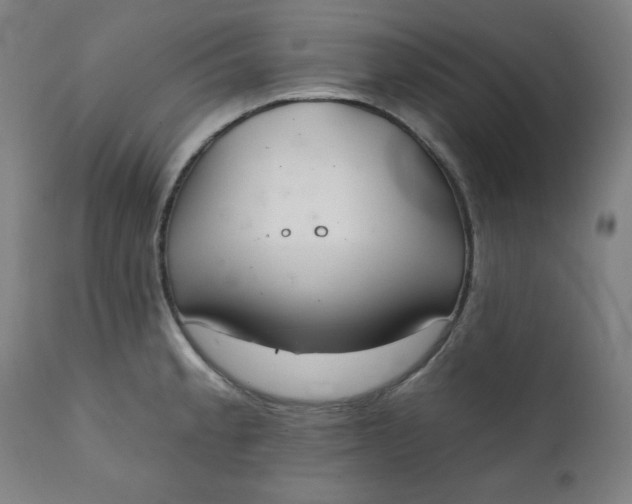 X0000111221189200907161244