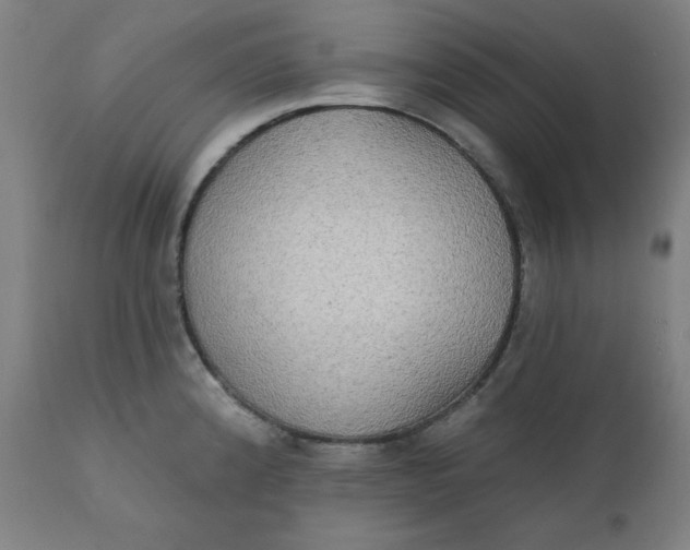 X0000111221192200907161244
