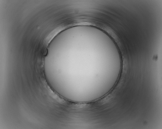X0000111221193200907161244