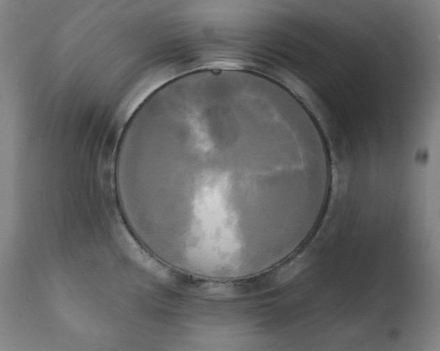 X0000111221194200907161244
