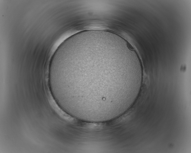 X0000111221195200907161244