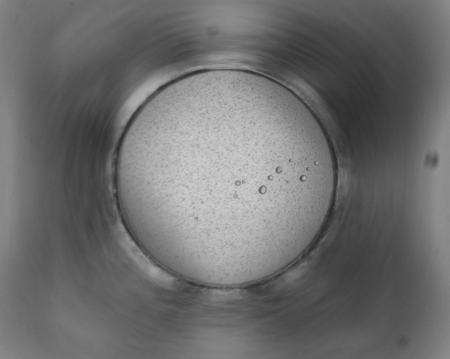 X0000111221196200907161244
