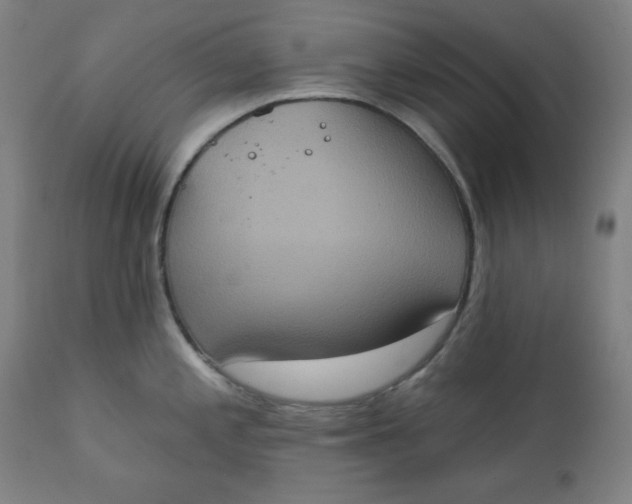 X0000111221197200907161244