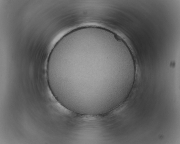 X0000111221199200907161243