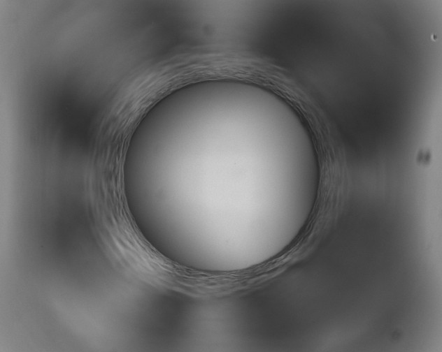 X0000111221202200907161243