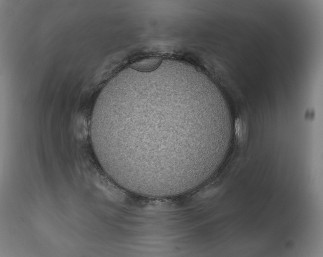 X0000111221203200907161243