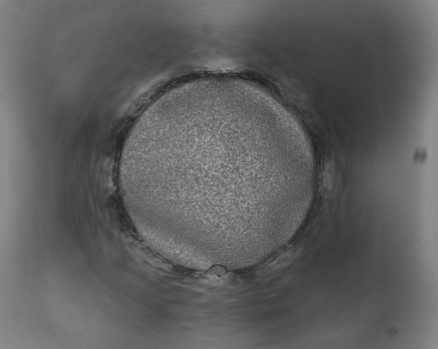 X0000111221205200907161243