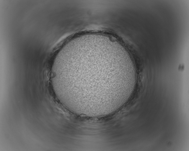 X0000111221206200907161243