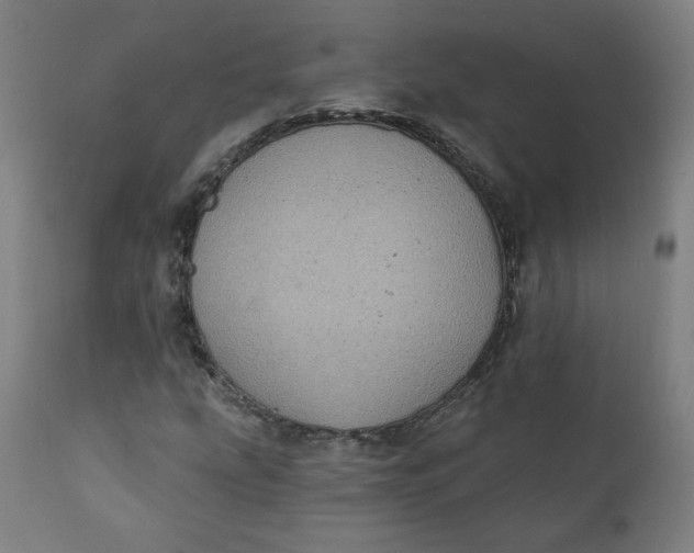 X0000111221207200907161243