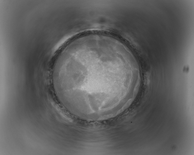 X0000111221208200907161243