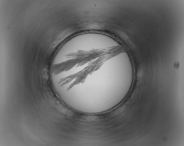 X0000111221209200907161243