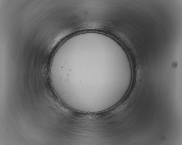 X0000111221210200907161243