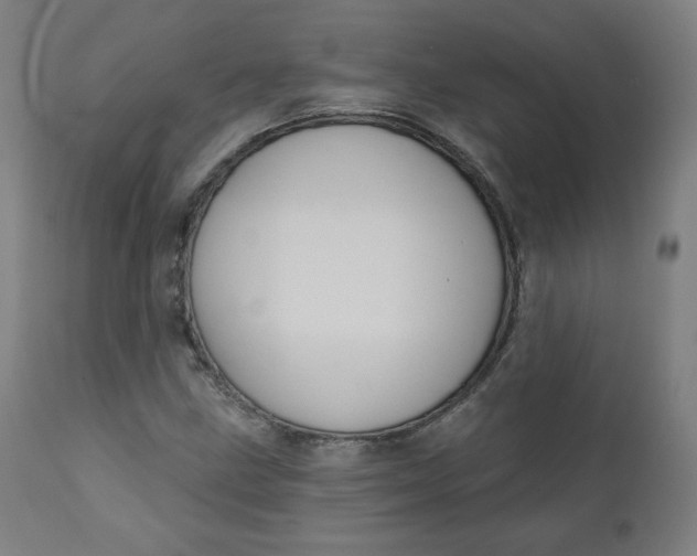 X0000111221211200907161243