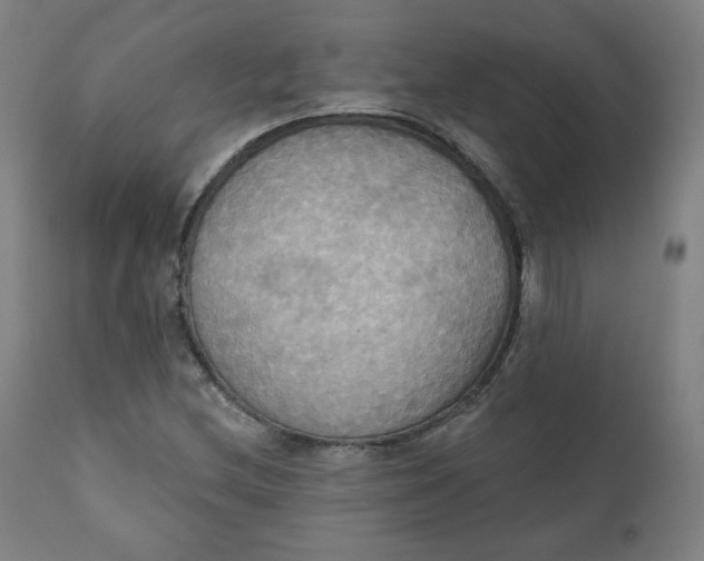X0000111221212200907161243