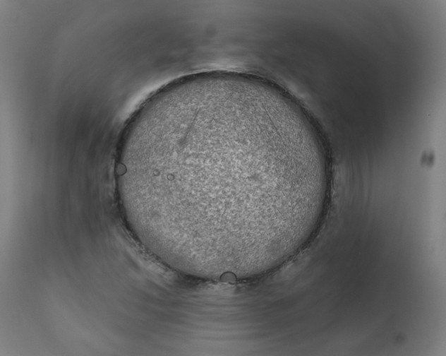 X0000111221214200907161243