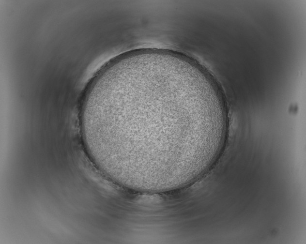 X0000111221215200907161243