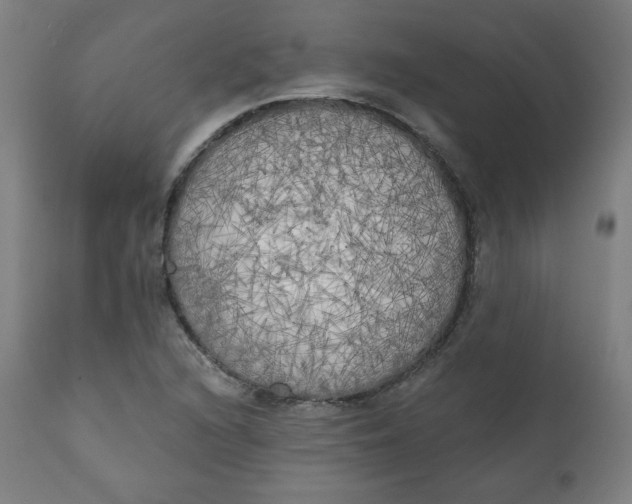X0000111221216200907161243