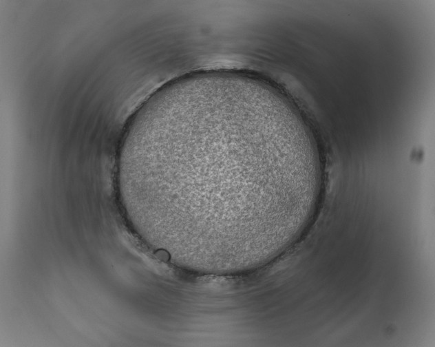 X0000111221217200907161243