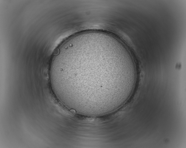 X0000111221218200907161243