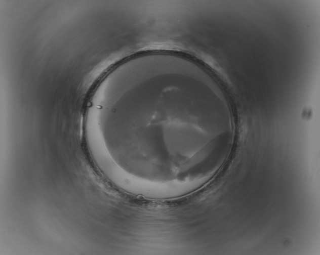 X0000111221221200907161243