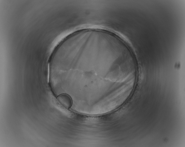 X0000111221223200907161243