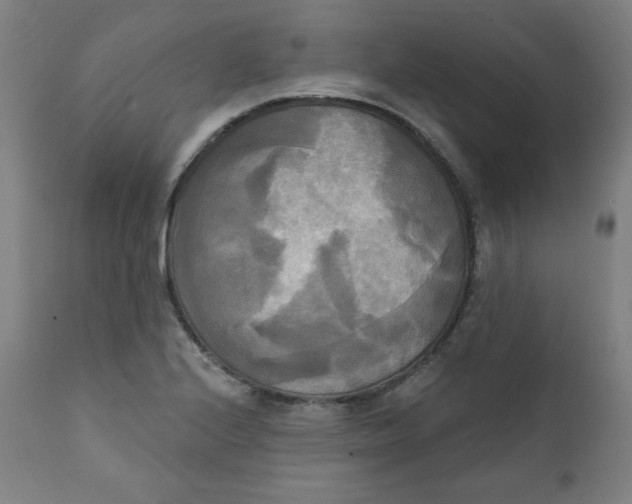 X0000111221224200907161243