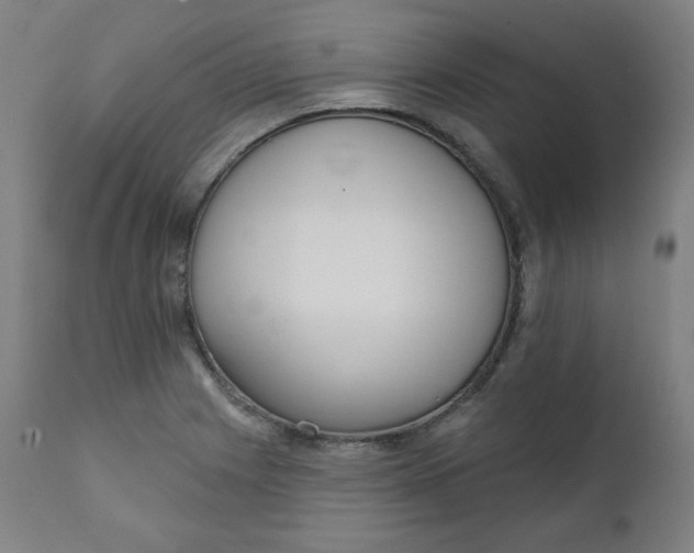 X0000111221225200907161243