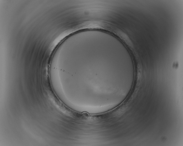 X0000111221226200907161243