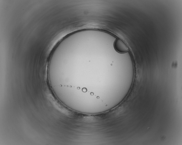 X0000111221227200907161243