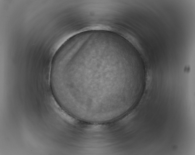 X0000111221228200907161243
