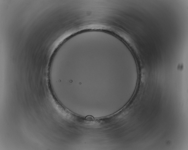 X0000111221229200907161243