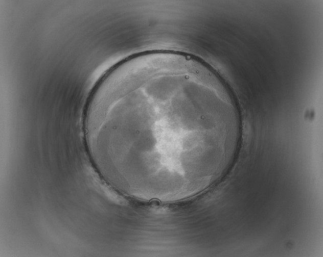 X0000111221230200907161243