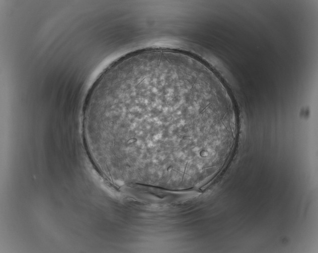 X0000111221232200907161243