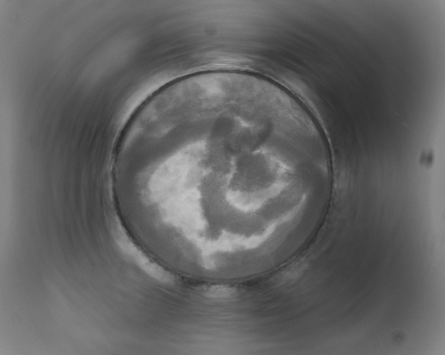 X0000111221235200907161243