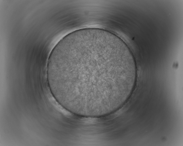 X0000111221236200907161243