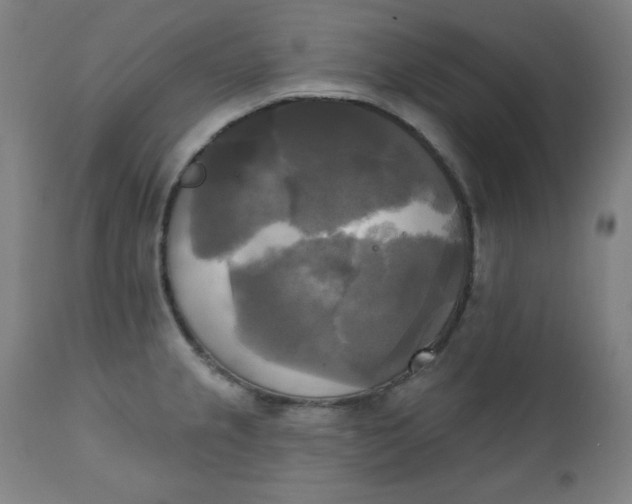 X0000111221237200907161243