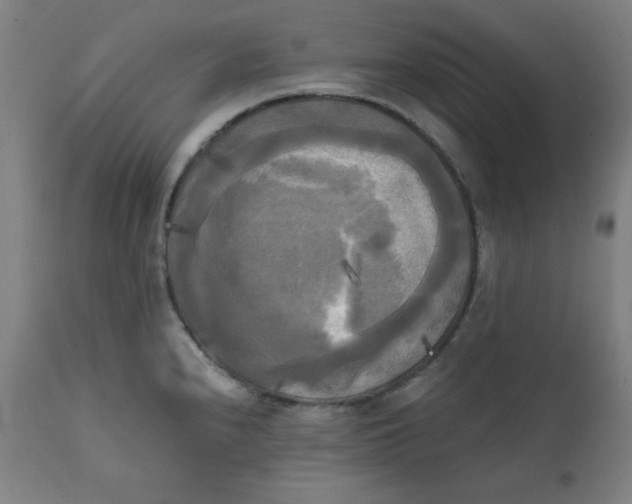 X0000111221240200907161243