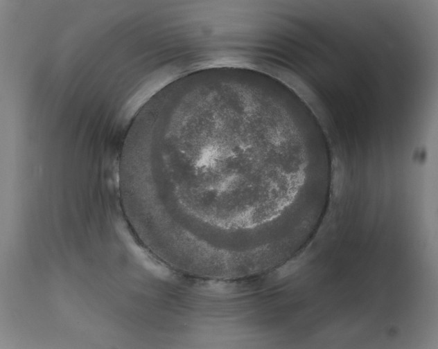 X0000111221241200907161243