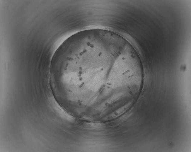 X0000111221244200907161243