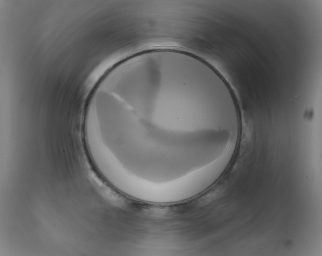 X0000111221245200907161243