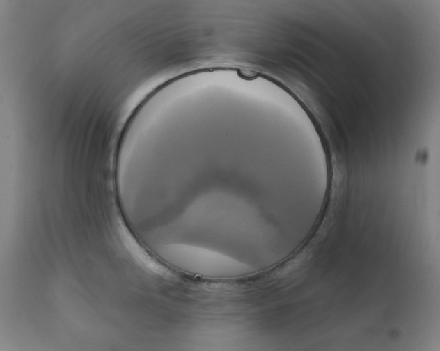 X0000111221246200907161243