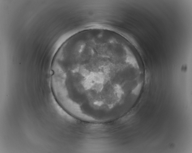 X0000111221247200907161243
