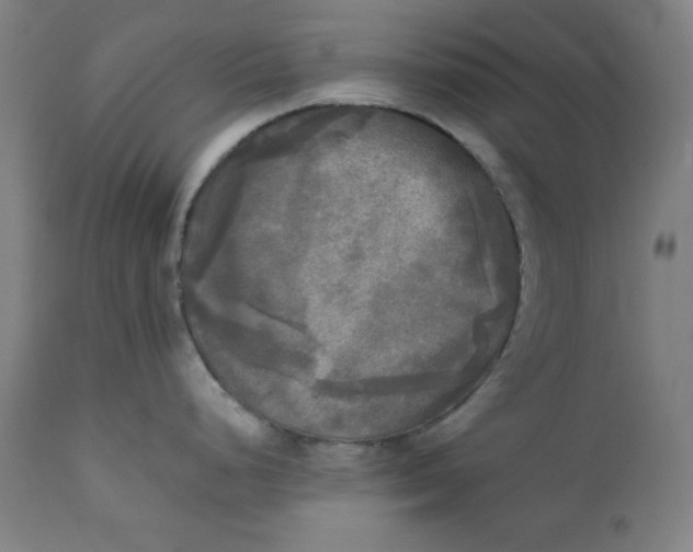 X0000111221248200907161243