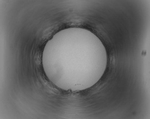 X0000111221250200907161243