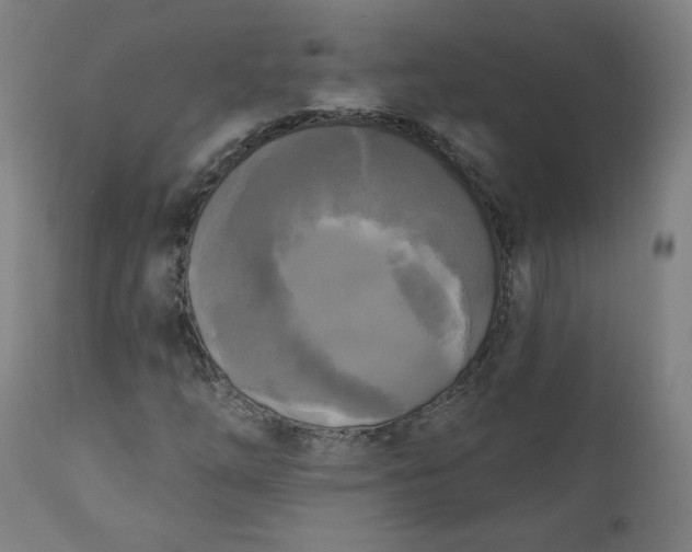 X0000111221254200907161243