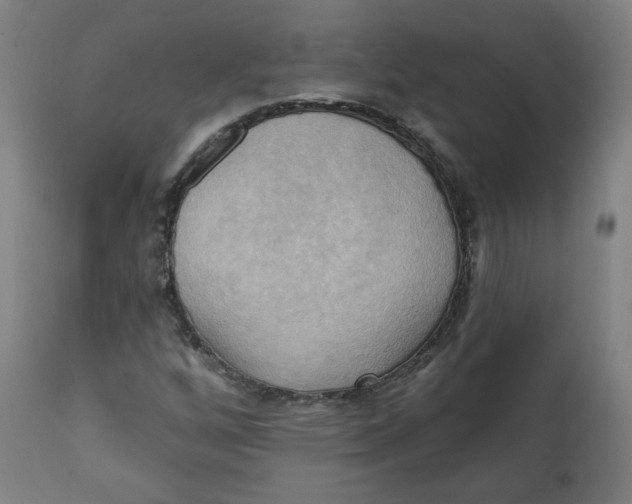 X0000111221256200907161243
