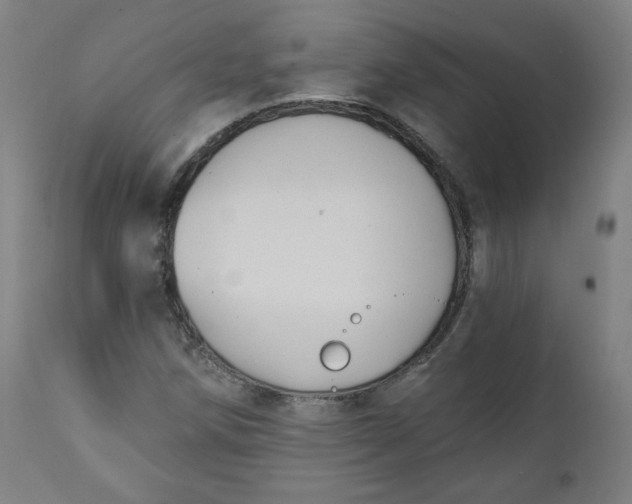 X0000111221258200907161243